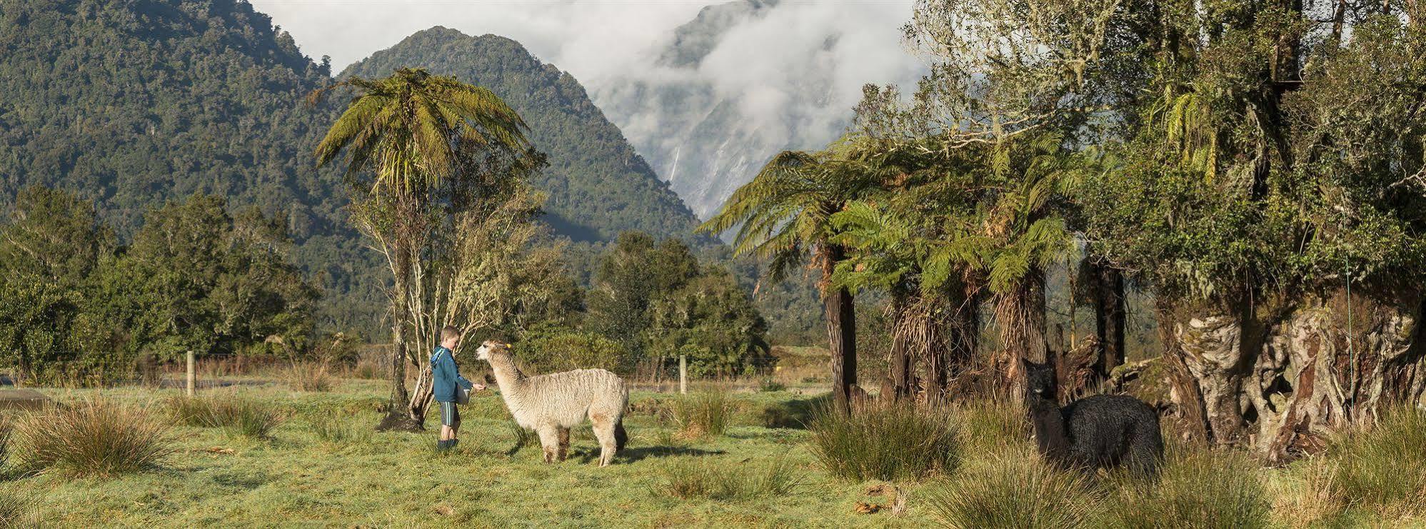 Glenfern Villas Franz Josef Luaran gambar